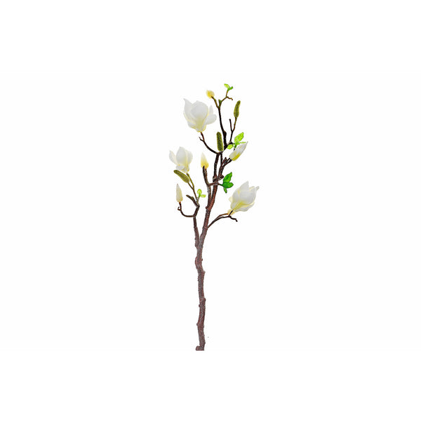 Magnolia Large Spray White