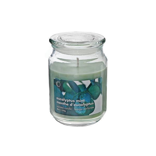 18 Oz Scented Jar With Glass Lid Eucalyptus Mint - Set of 2