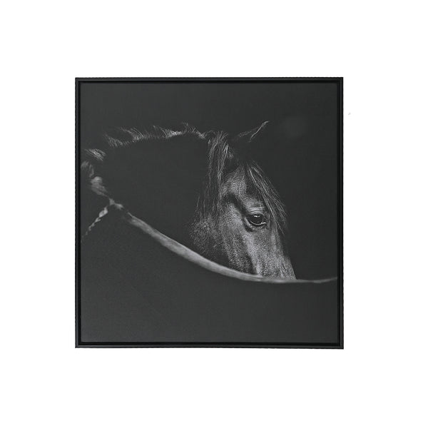 Framed Canvas Wall Art Horse Head