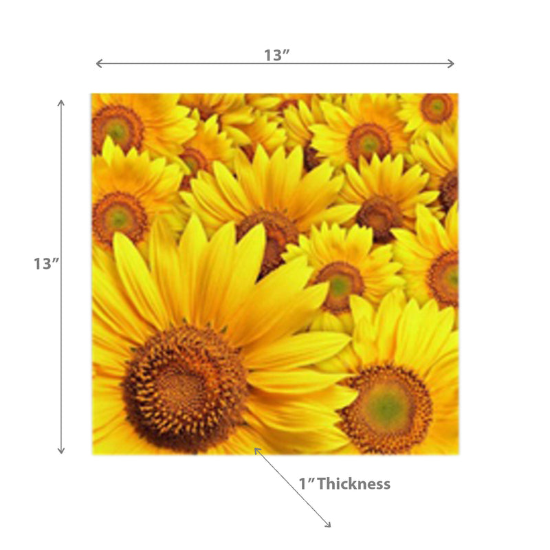 20 Pack Luncheon 3 Ply Napkin Sunflower - Set of 6