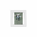 Lucent Frame (4 X 6) (White) (Col) - Set of 2