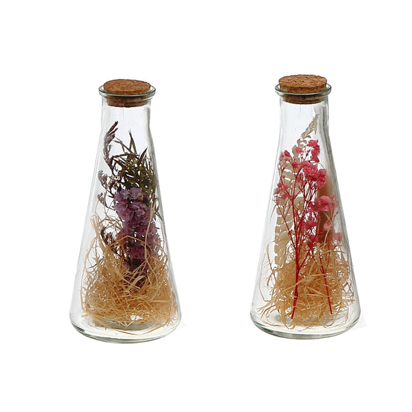 Dried Floral Arrangement In Glass Triangular Tube Asstd - Set of 2