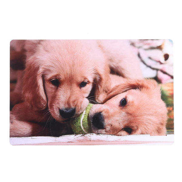 Plastic Placemat (Dogs Chewing Ball) - Set of 12