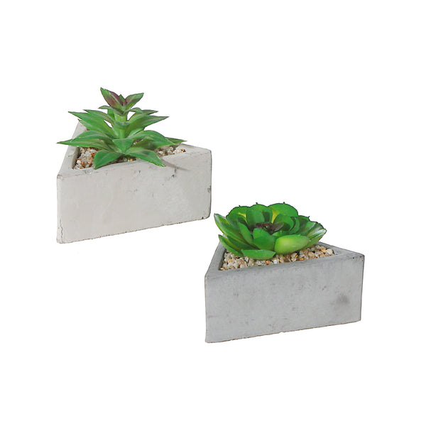 Artificial Succulent In Triangular Cement Pot Asstd - Set of 2