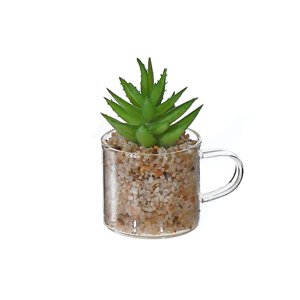 Artificial Succulent In Glass Cup Asstd - Set of 2