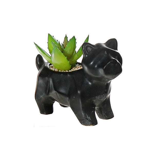 Black Ceramic Dog With Artificial Succulent Asstd - Set of 2