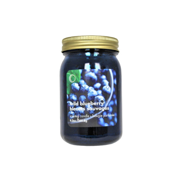 9.2Oz Electroplated Mason Jar Candle (Wild Blueberry) - Set of 2