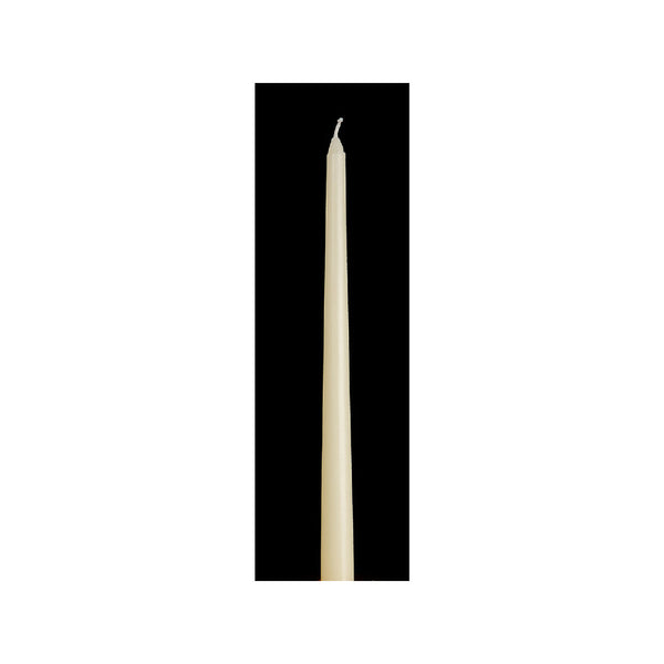 12" Unscented Tapers (Ivory) (12/Display) - Set of 12