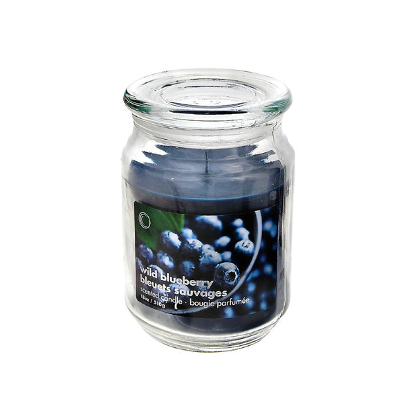18 Oz Scented Jar With Glass Lid (Wild Blueberry) - Set of 2