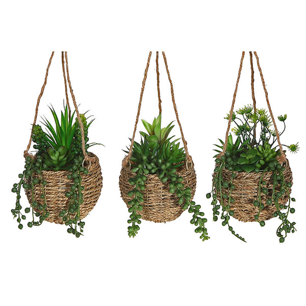 Artificial Succulents In Hanging Rope Pot (Asstd) - Set of 3