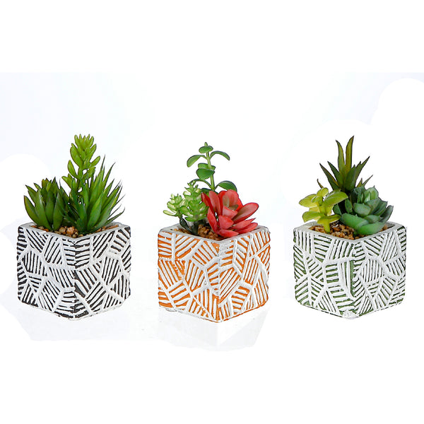 Artificial Succulents In Square Tiled Cement Pot Asstd - Set of 3