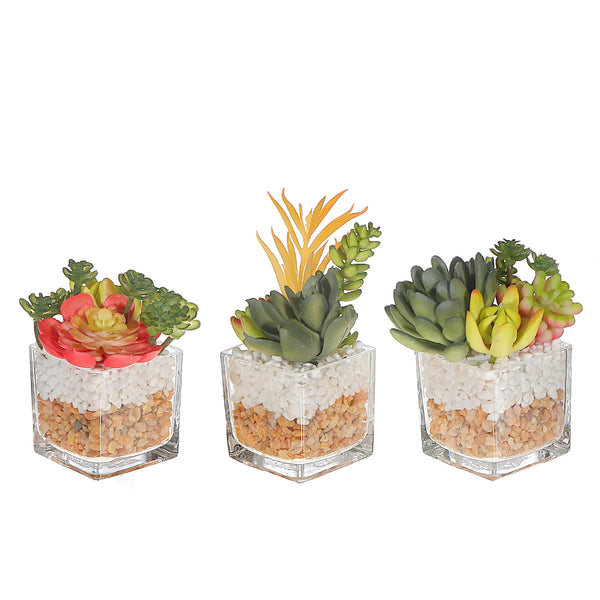 Artificial Succulents In Square Glass Planter Asstd - Set of 3