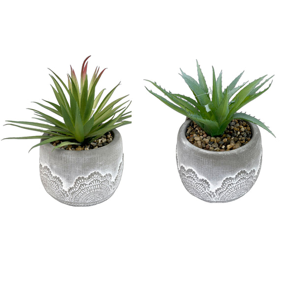 Artificial Succulents In Ceramic Gray Pot Asstd - Set of 2