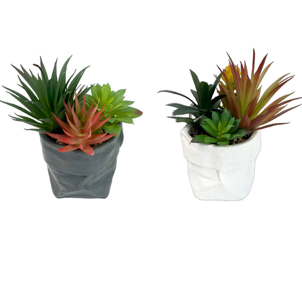 Artificial Succulents In Ceramic Pouch Asstd - Set of 2