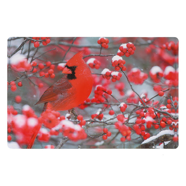 Plastic Placemat (Cardinal Berries) - Set of 12
