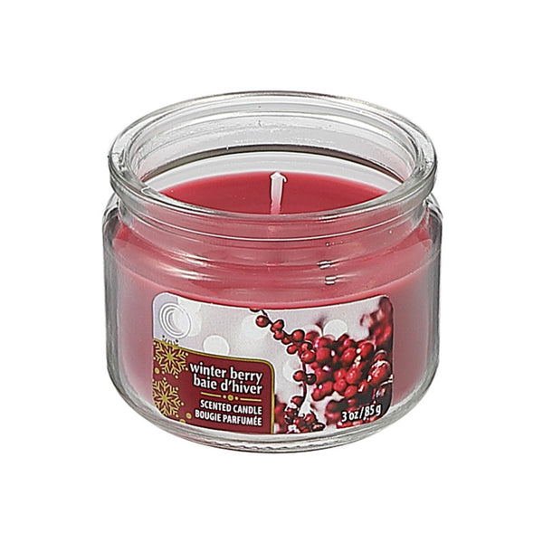 3 Oz Scented Jar Candle (Winter Berry) - Set of 4