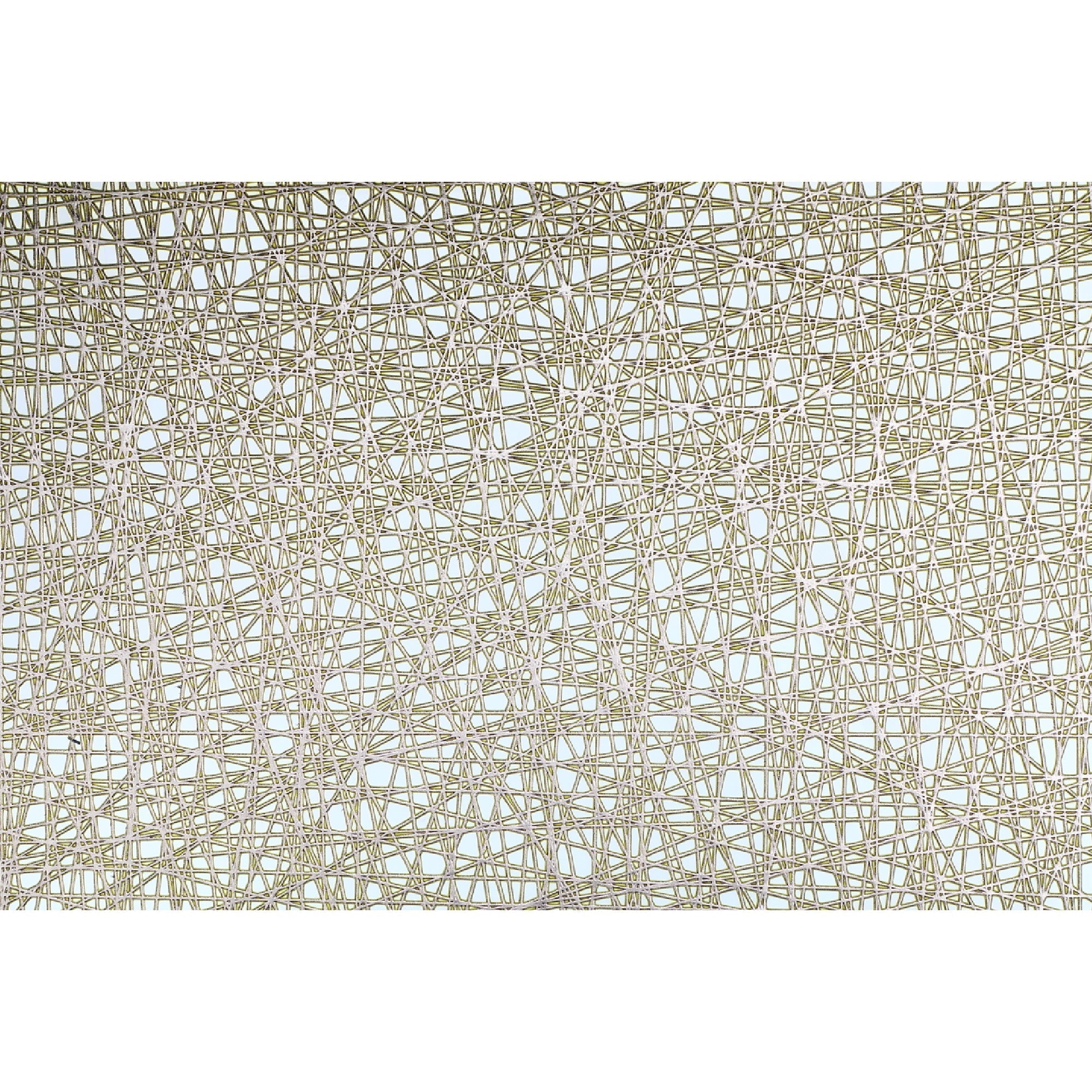 Metallic Laser Cut PVC Placemat Sisal Champagne Set Of 12, Dining Table Decor, Kitchen Accessory