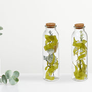 Dried Floral Arrangement In Glass Tube Assorted Decorative Home Floral Arrangement