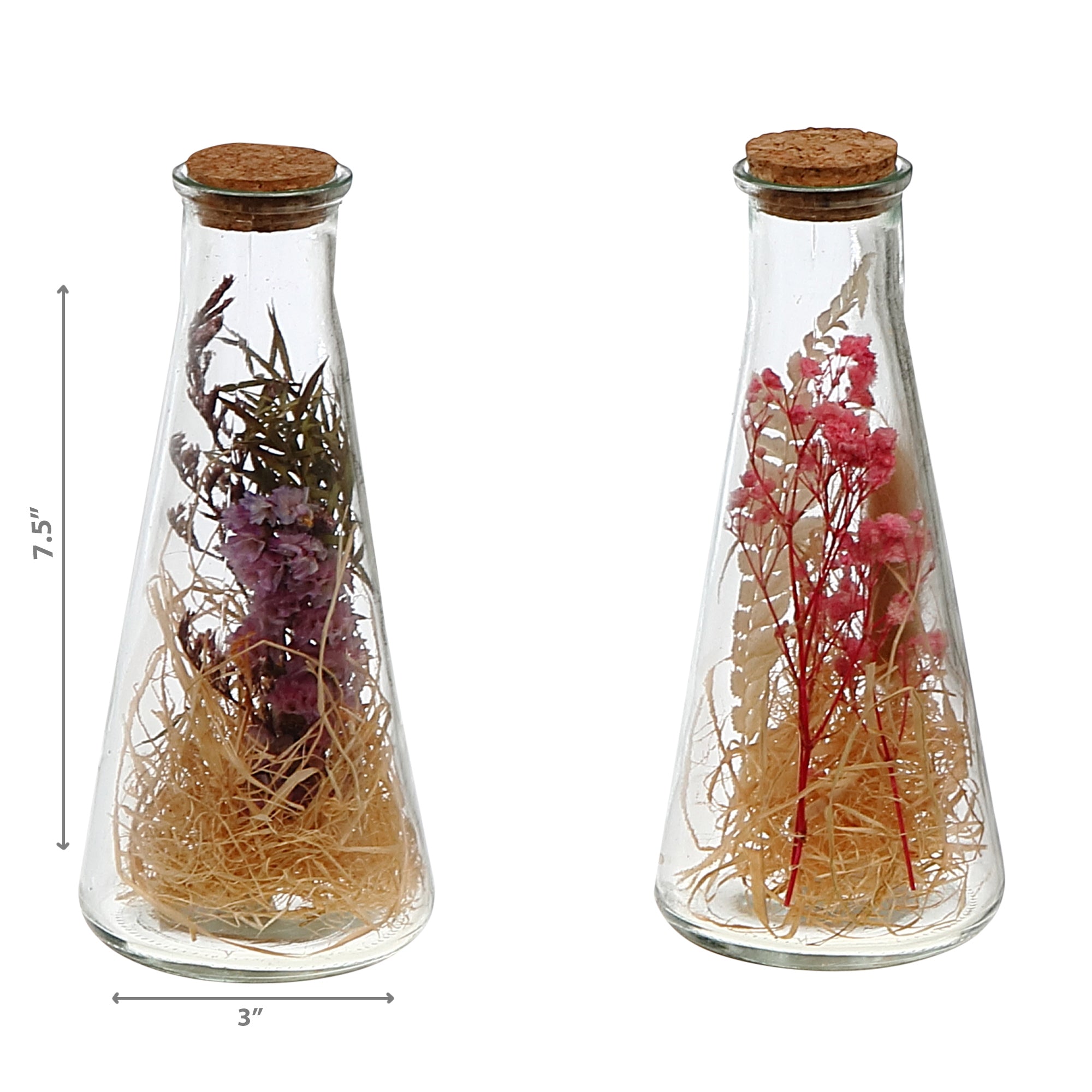 Dried Floral Arrangement In Glass Triangular Tube Assorted Decorative Home Floral Décor