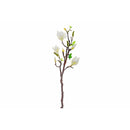Magnolia Large Spray White