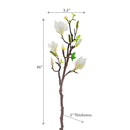 Magnolia Large Spray White