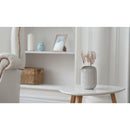 Natural Dry Pampas - Set of 6