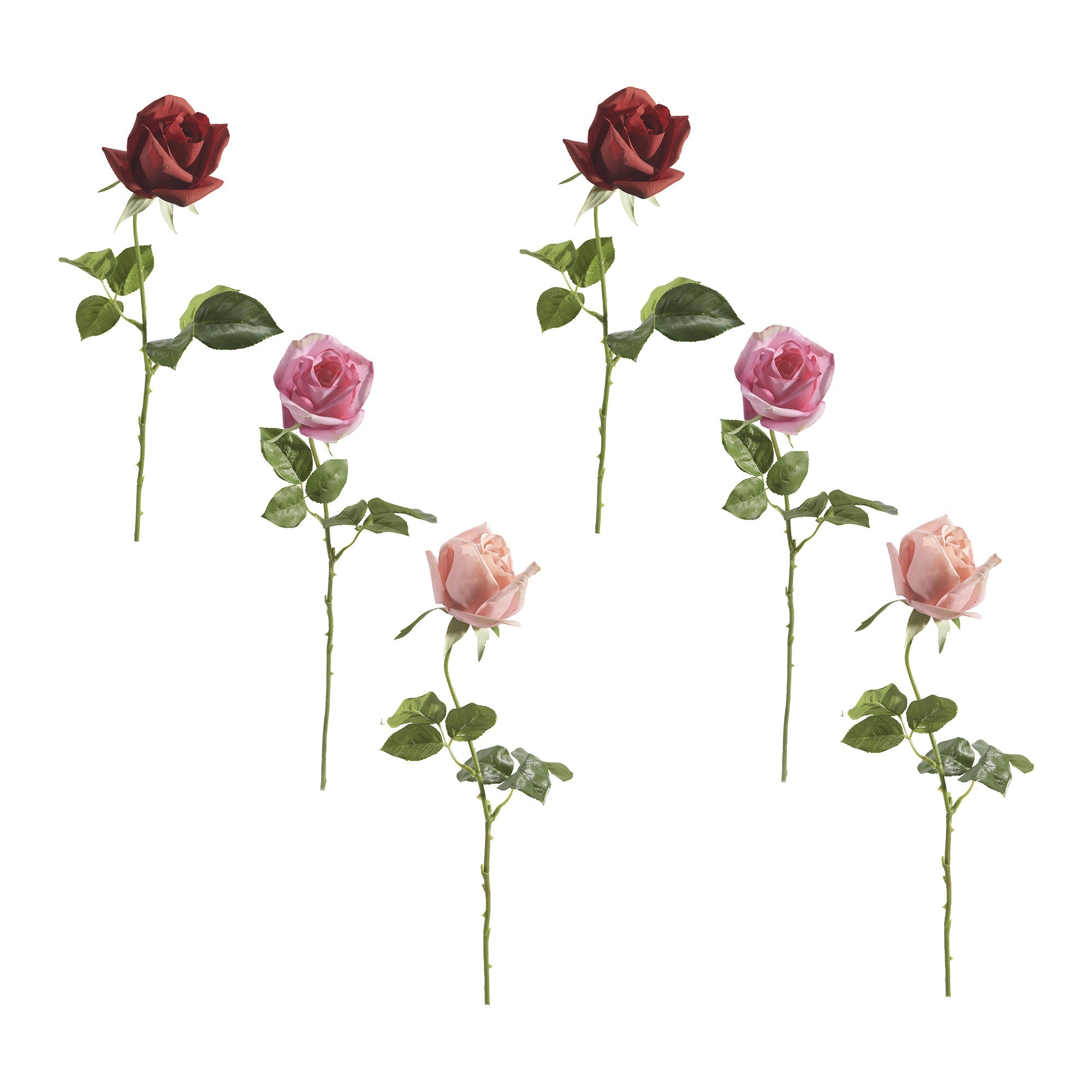 Assorted Real Touch Artificial Single Rose with Long Stem - Set of 6