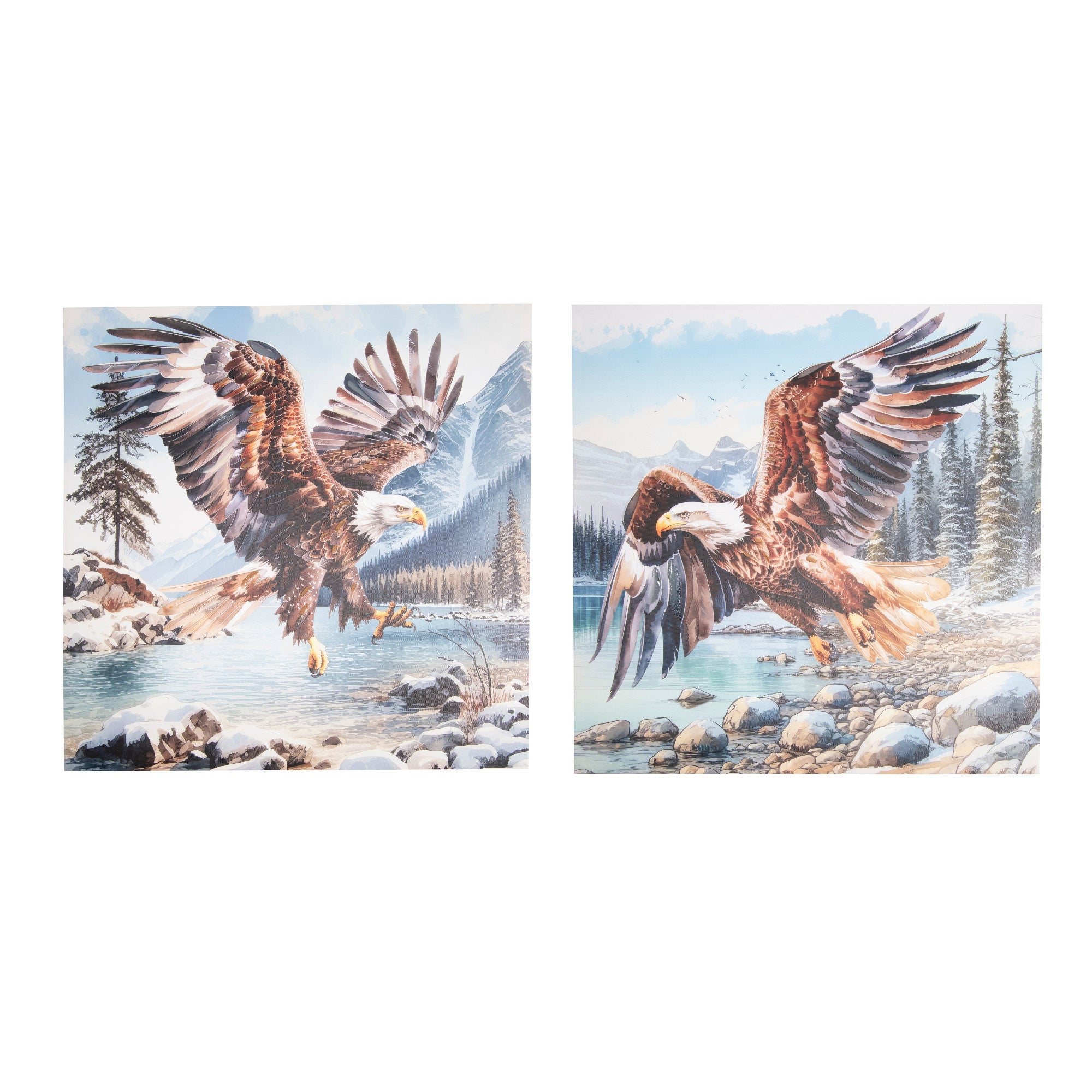 Hand-Painted Canvas Wall Art Featuring Soaring Eagle - Set of 2