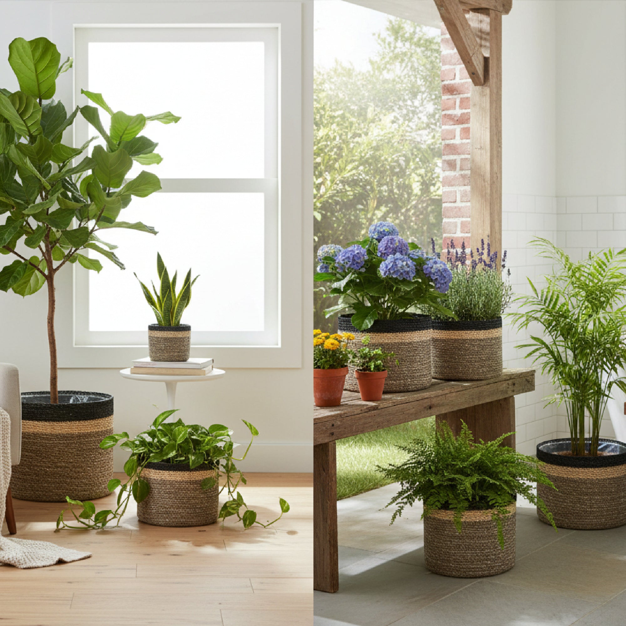 Set of 3 Round Seagrass Planters in Natural, Gray, and Black, Perfect for Indoor Greenery