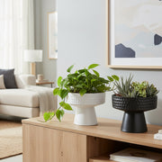Assorted 5.9" Cleo Ceramic Planters with Contemporary Style - Set of 2
