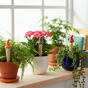 Innovative 3-Piece Ceramic Plant Watering Set with Mushroom Sensor Heads
