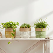 Assorted 4.5" Valenza Round Stone-Weave Planters - Set of 3