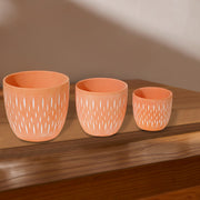 Ceramic Round Planters Clayton Set Of 3, Indoor Plant Pot, Home Decor, Succulent Planter