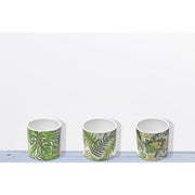 Ceramic Round Planters Leaf Set Of 3, Indoor Plant Decor