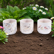Terracotta Chirping Birds Decorative Planters – Set of 6 - Set of 3