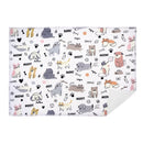 Microfibre Drying Mat Dog & Cat - Set of 2