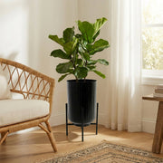 6" Black Ribbed Round Planter with Metal Stand