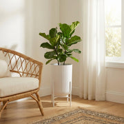 6" White Ribbed Round Planter with Metal Stand
