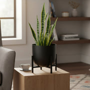 7.5" Black Round Planter with Raised Stand