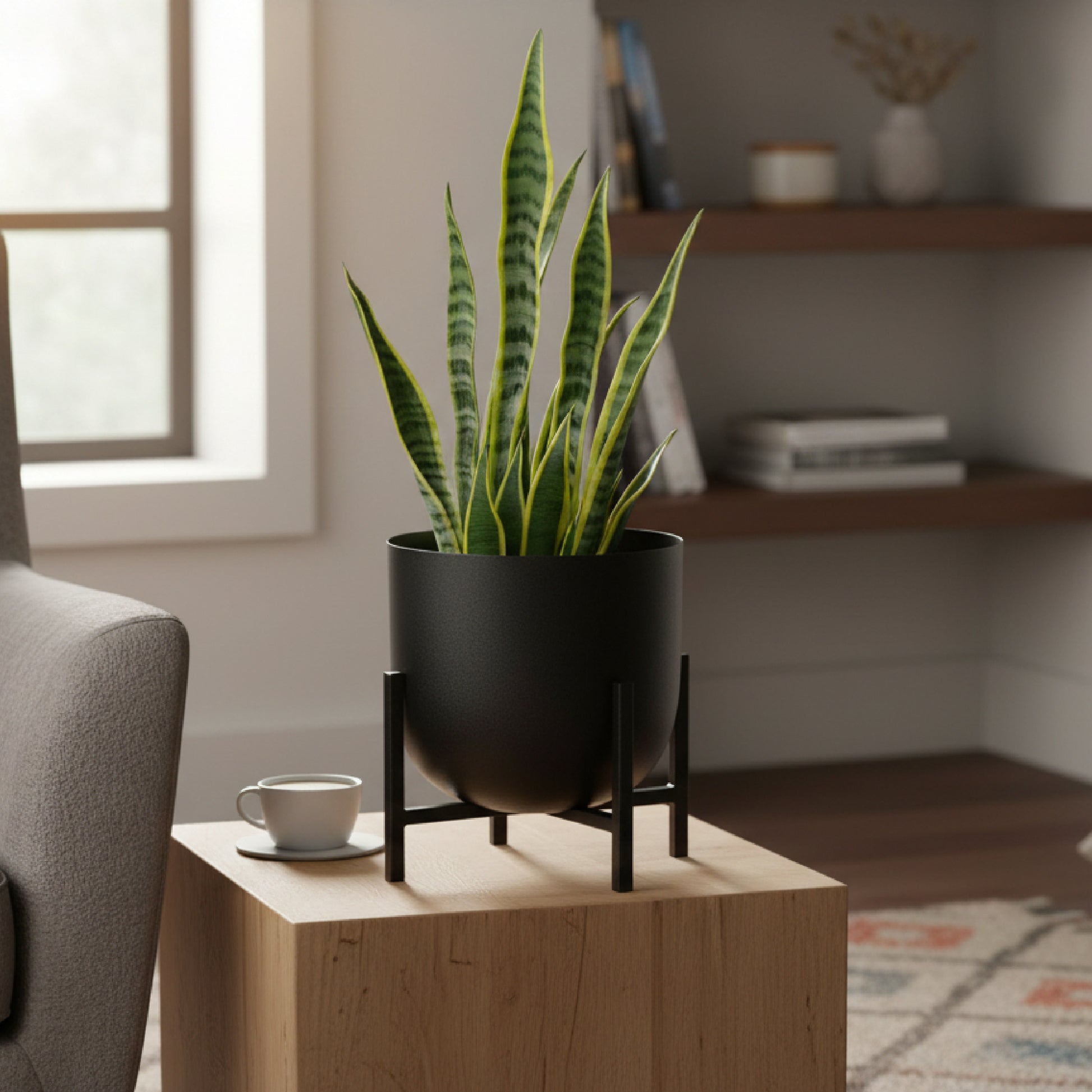 7.5" Black Round Planter with Raised Stand