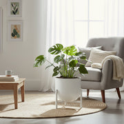 7.5" White Round Planter with Raised Stand