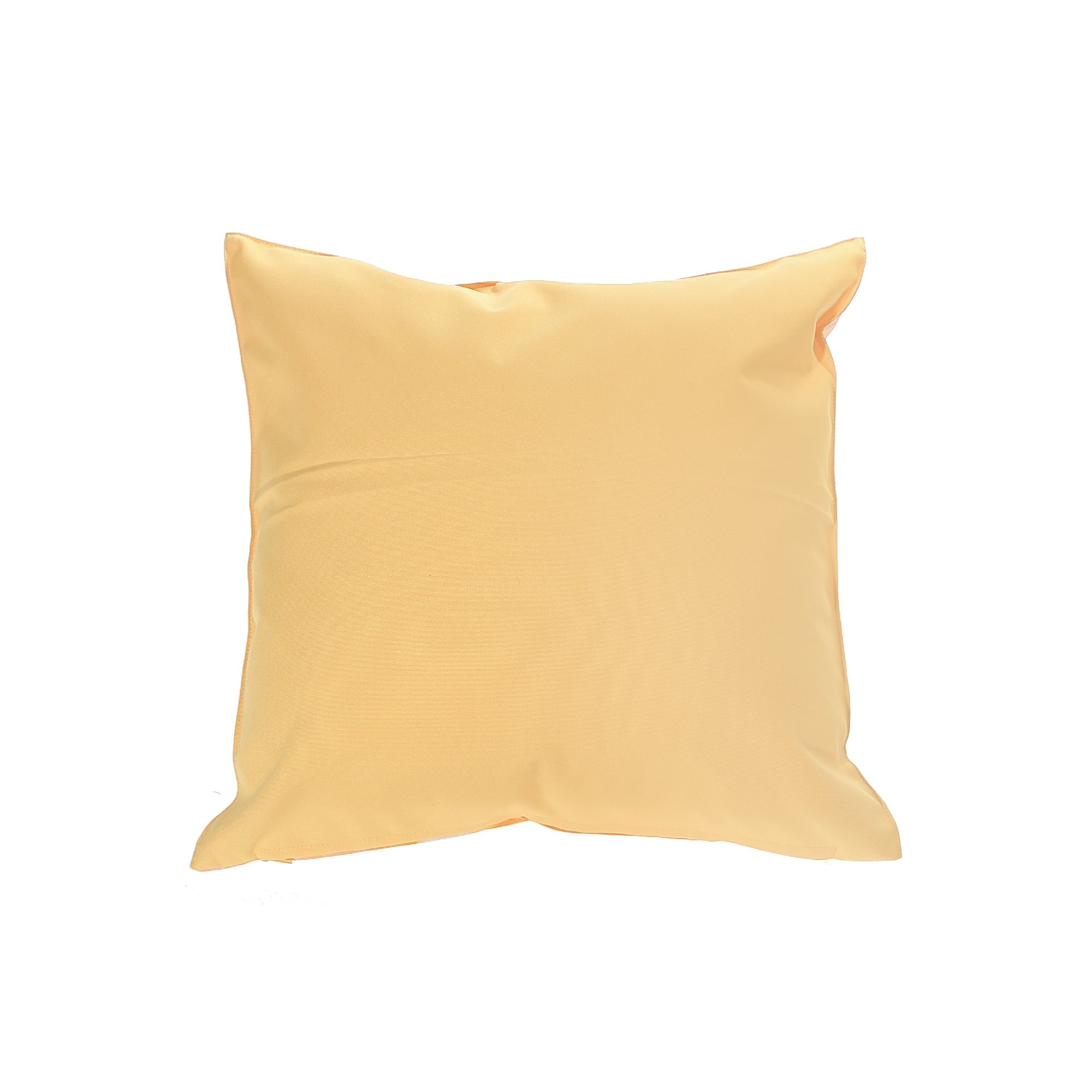Outdoor Waterproof Cushion Citrus - Set of 2 Patio Garden Decorative Cushion