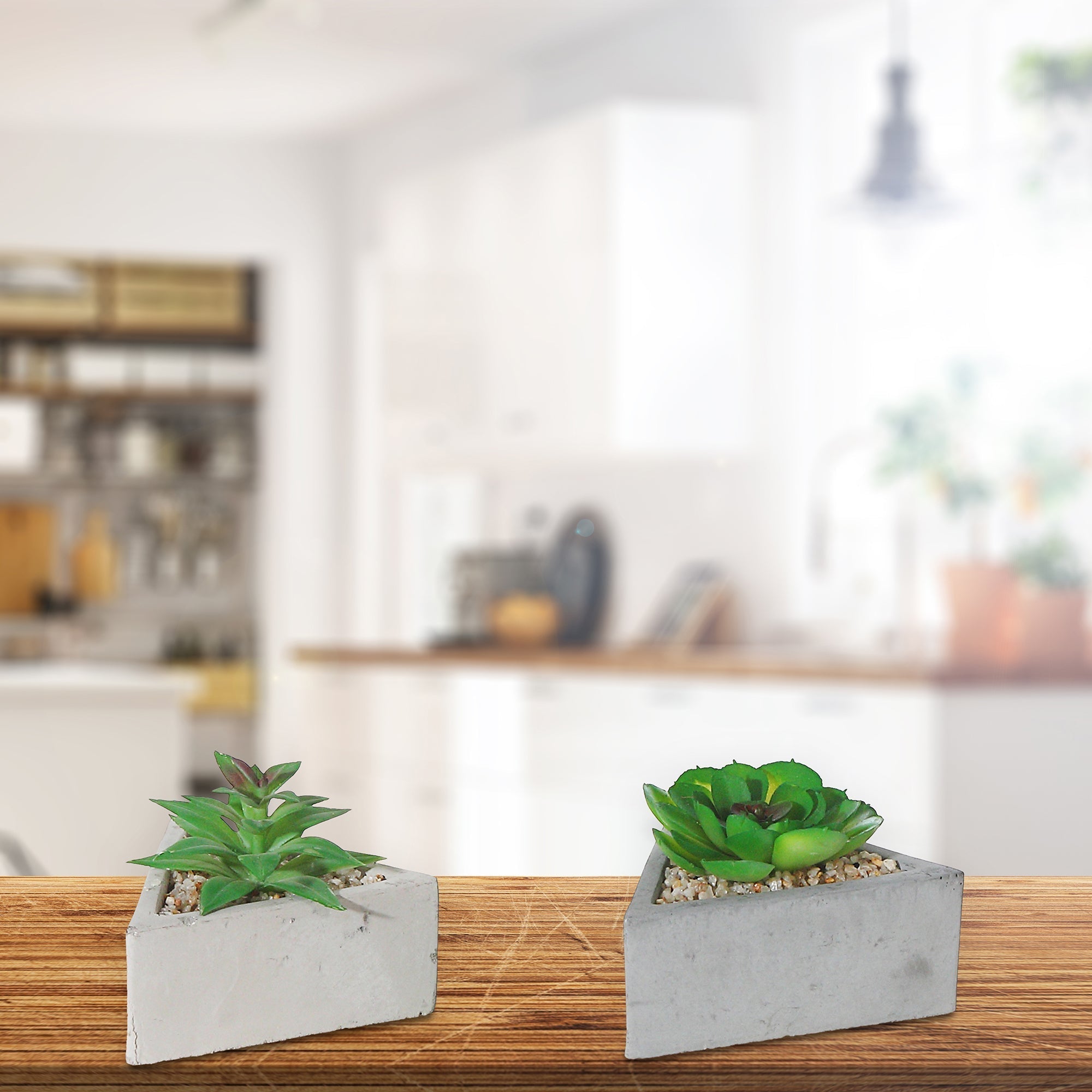 Artificial Succulent In Triangular Cement Pot Assorted Decorative Indoor Plant