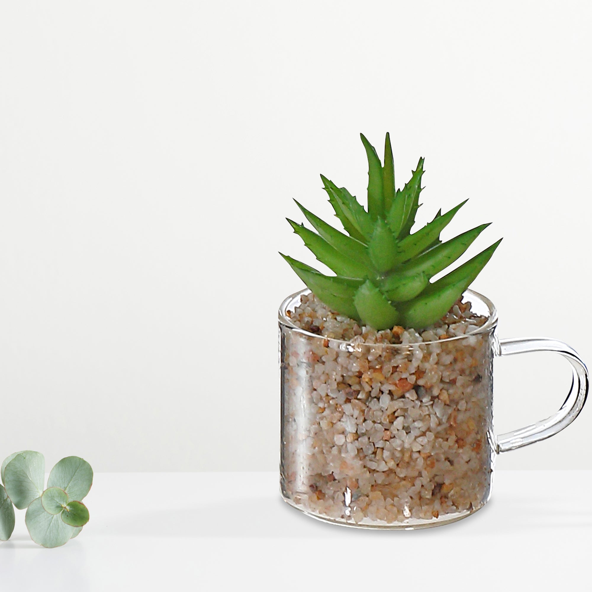 Artificial Succulent In Glass Cup Assorted Decorative Indoor Plant