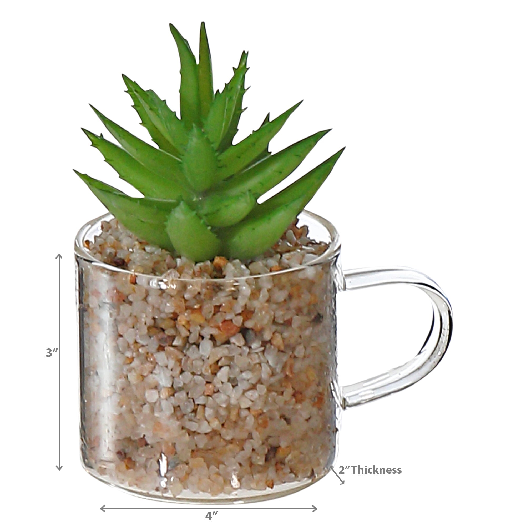 Artificial Succulent In Glass Cup Assorted Decorative Indoor Plant