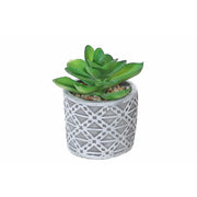 Artificial Succulent In Round Cement Pot Assorted Decorative Indoor Plant