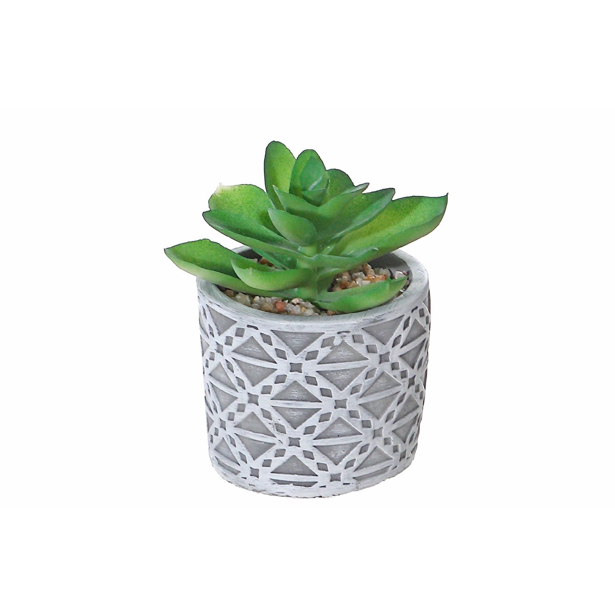 Artificial Succulent In Round Cement Pot Assorted Decorative Indoor Plant