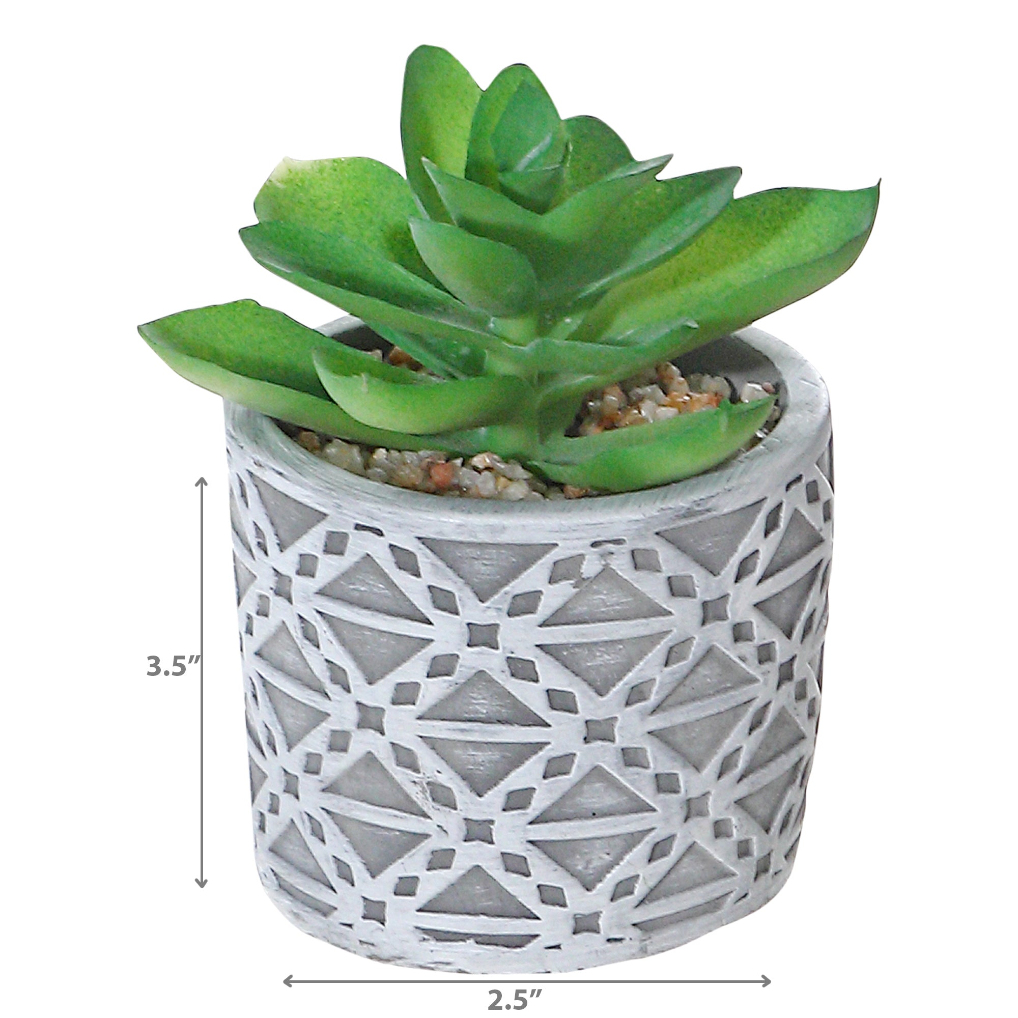 Artificial Succulent In Round Cement Pot Assorted Decorative Indoor Plant