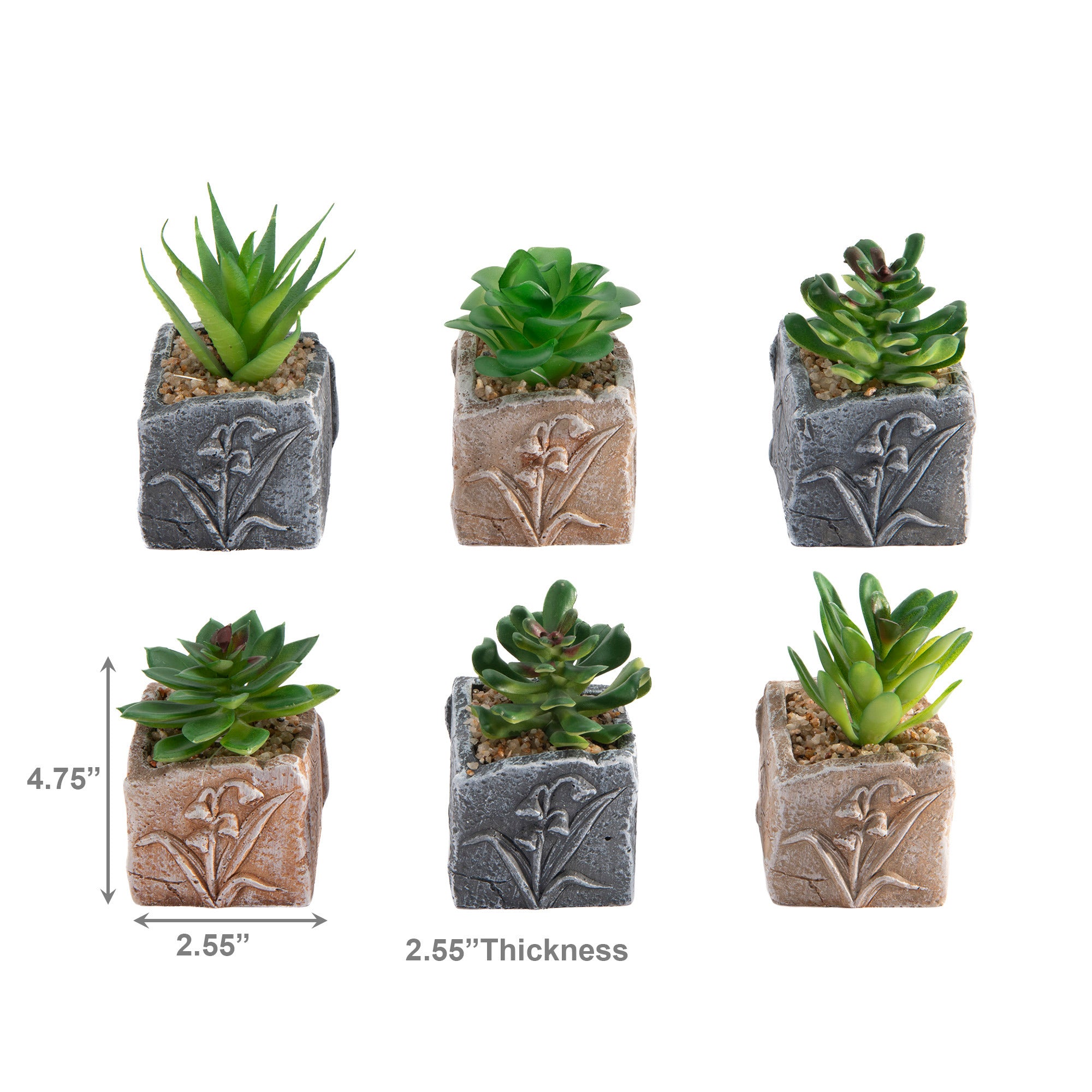 Succulent in Floral Cement Pot – Assorted Designs - Set of 6