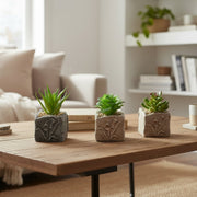 Succulent in Floral Cement Pot – Assorted Designs - Set of 6